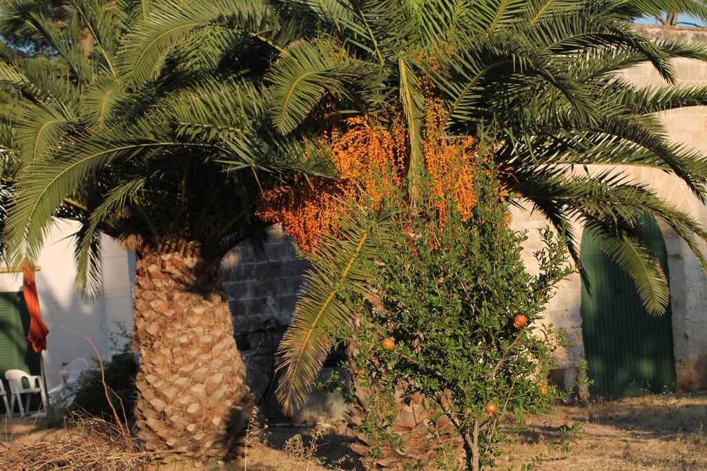 Masseria Vivi Il Salento 산타 카테리나 객실 사진