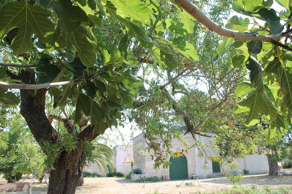 Masseria Vivi Il Salento 산타 카테리나 객실 사진