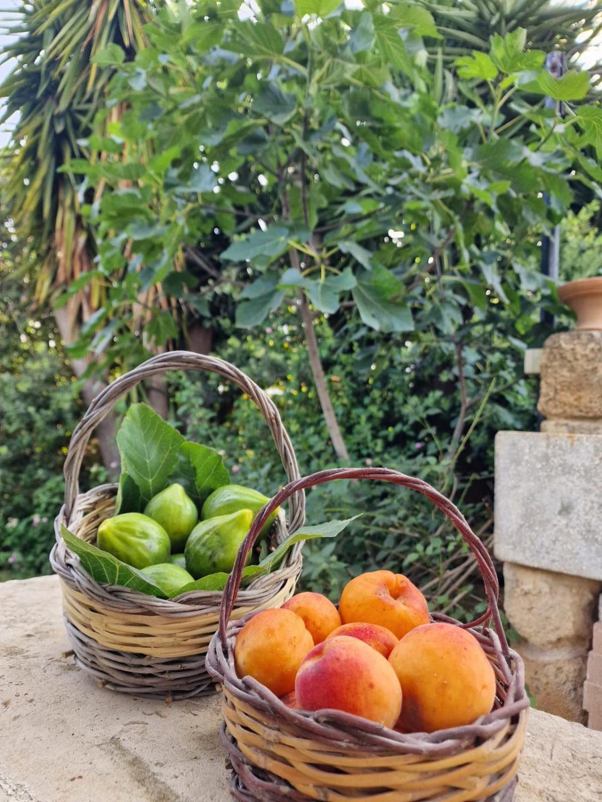 Masseria Vivi Il Salento 산타 카테리나 외부 사진