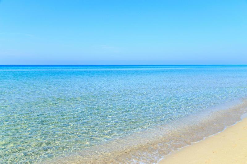 Masseria Vivi Il Salento 산타 카테리나 외부 사진