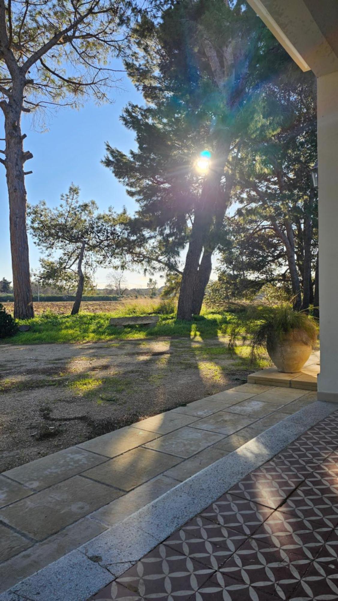 Masseria Vivi Il Salento 산타 카테리나 외부 사진