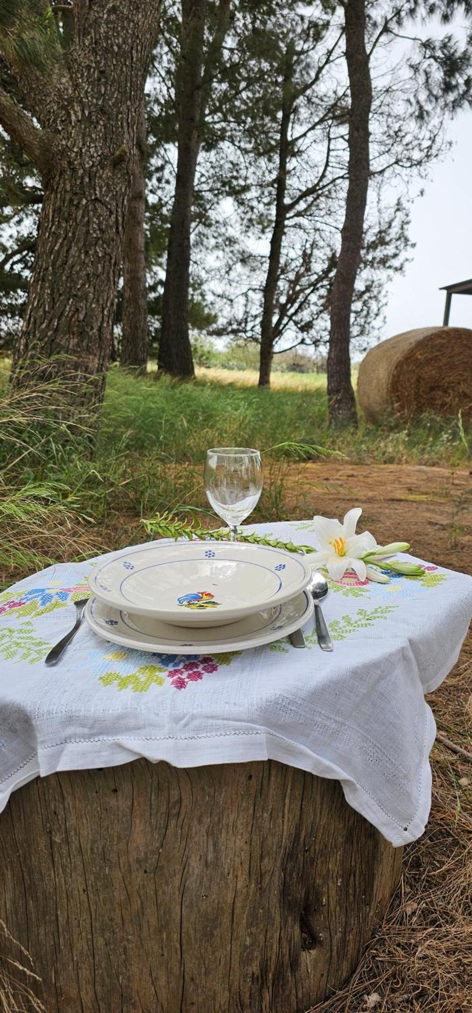 Masseria Vivi Il Salento 산타 카테리나 외부 사진