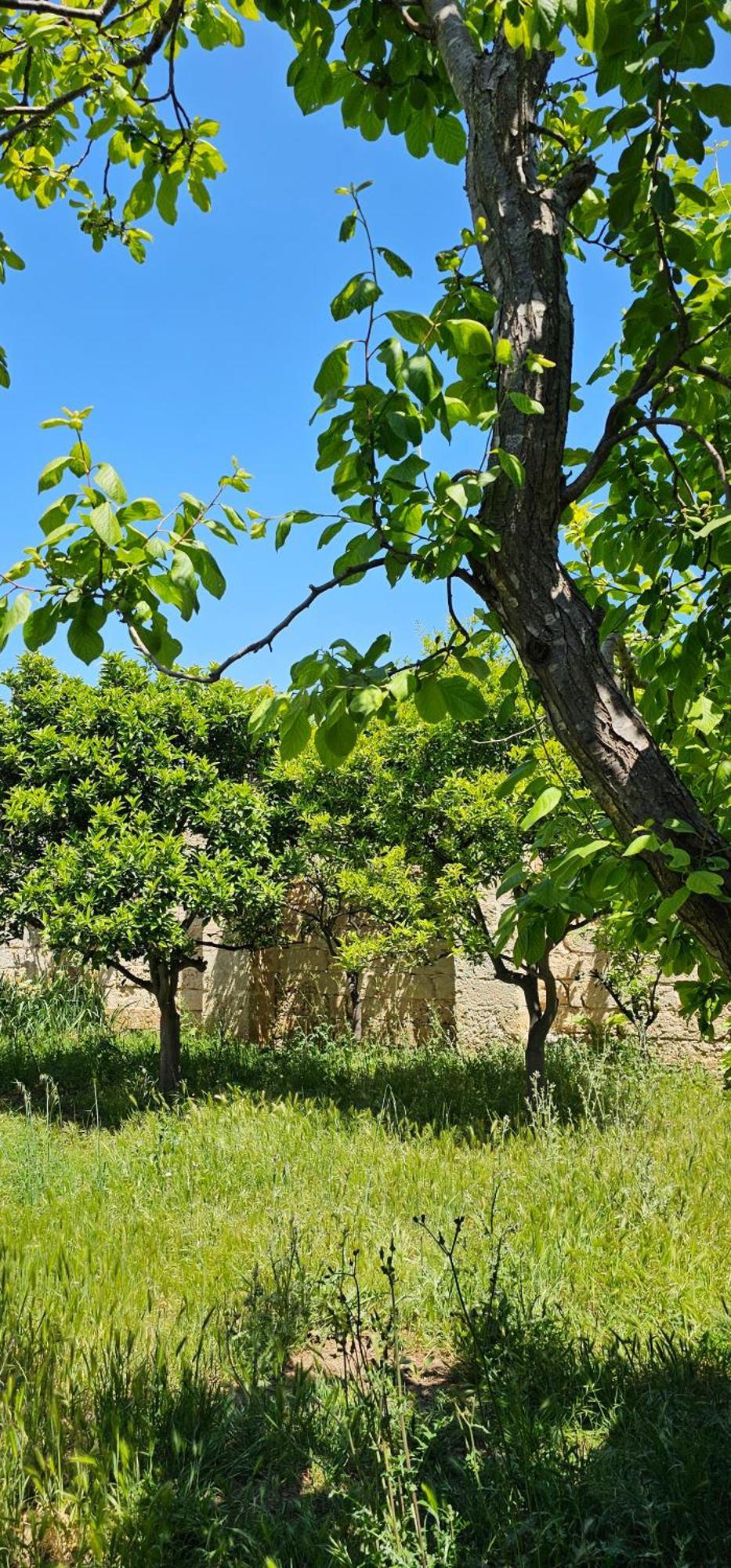 Masseria Vivi Il Salento 산타 카테리나 외부 사진