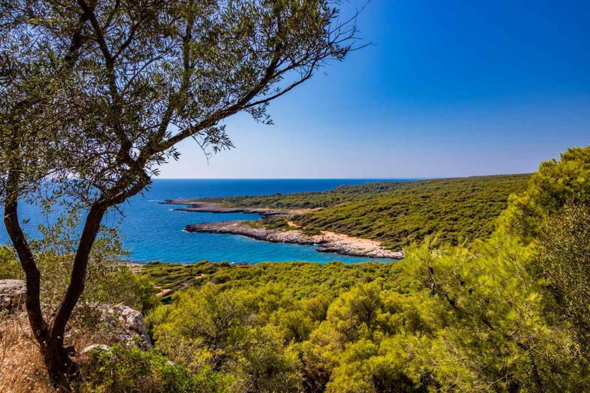 Masseria Vivi Il Salento 산타 카테리나 외부 사진