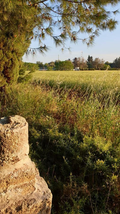 Masseria Vivi Il Salento 산타 카테리나 외부 사진